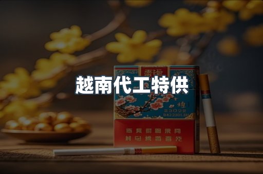 越南代工特供
